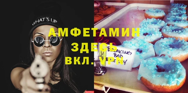 соль ск Алзамай