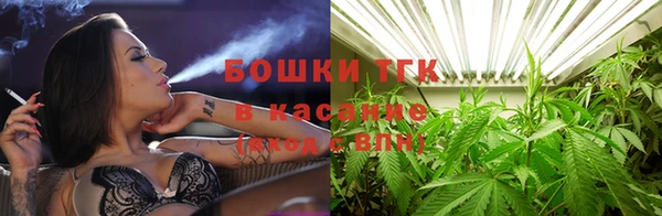 крисы Алексин