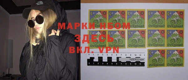 сатива Горняк