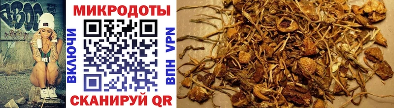 купить  сайты  Лиски  Псилоцибиновые грибы Magic Shrooms 